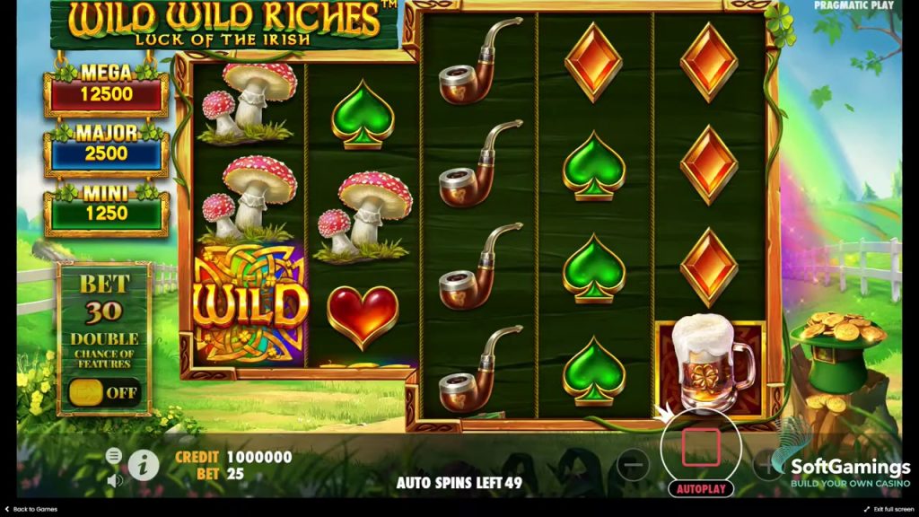 Wild Wild Riches oynanış ekran görüntüsü 6