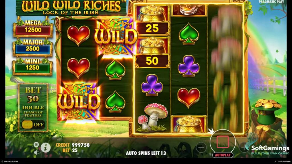 Wild Wild Riches oynanış ekran görüntüsü 4
