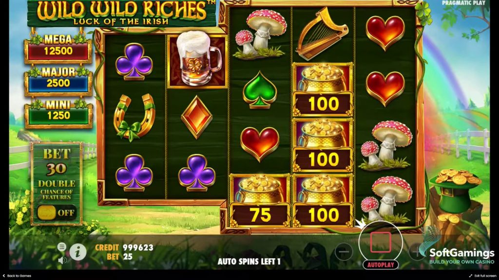 Wild Wild Riches oynanış ekran görüntüsü 1