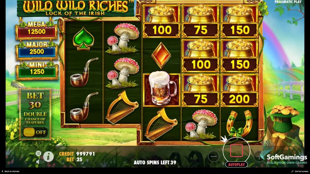 Wild Wild Riches oynanış ekran görüntüsü 5