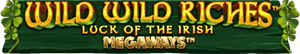 Wild Wild Riches Logo Footer
